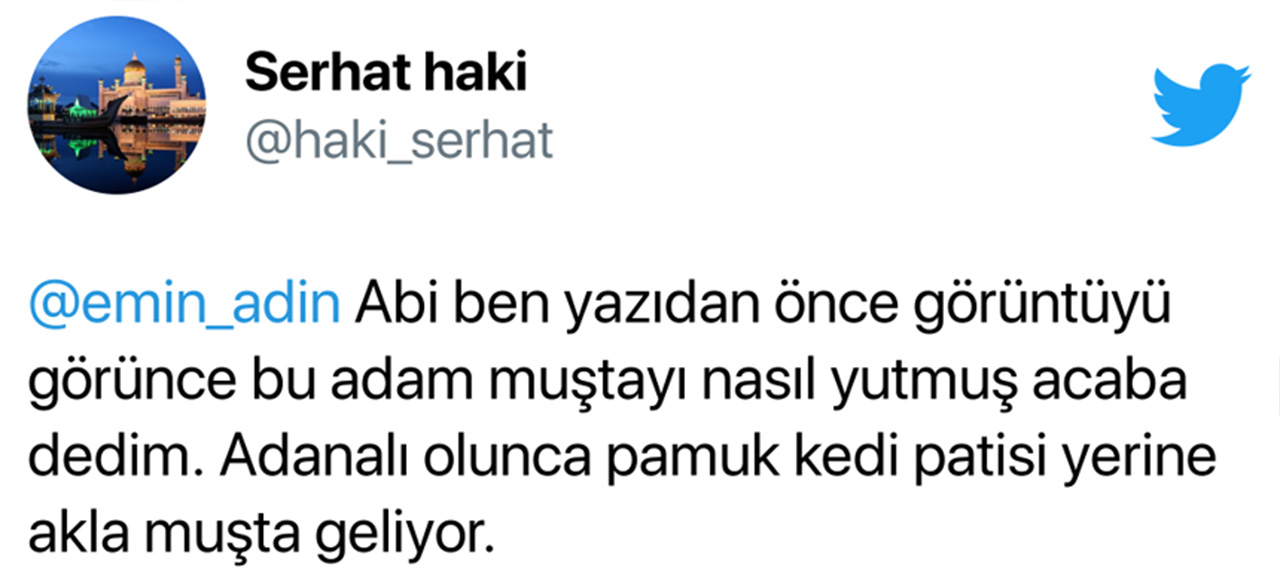 cıvıldamak